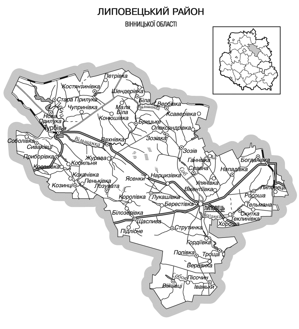 Липовецький район